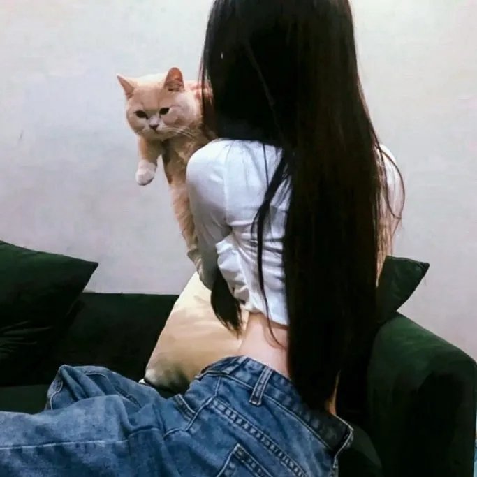 男狐聊斋3